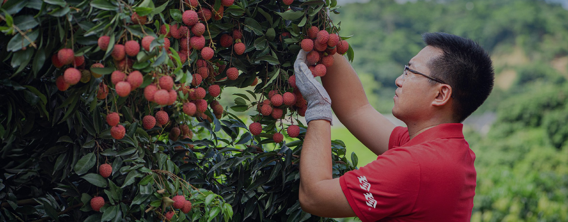 澳泰（广东）生物科技有限公司